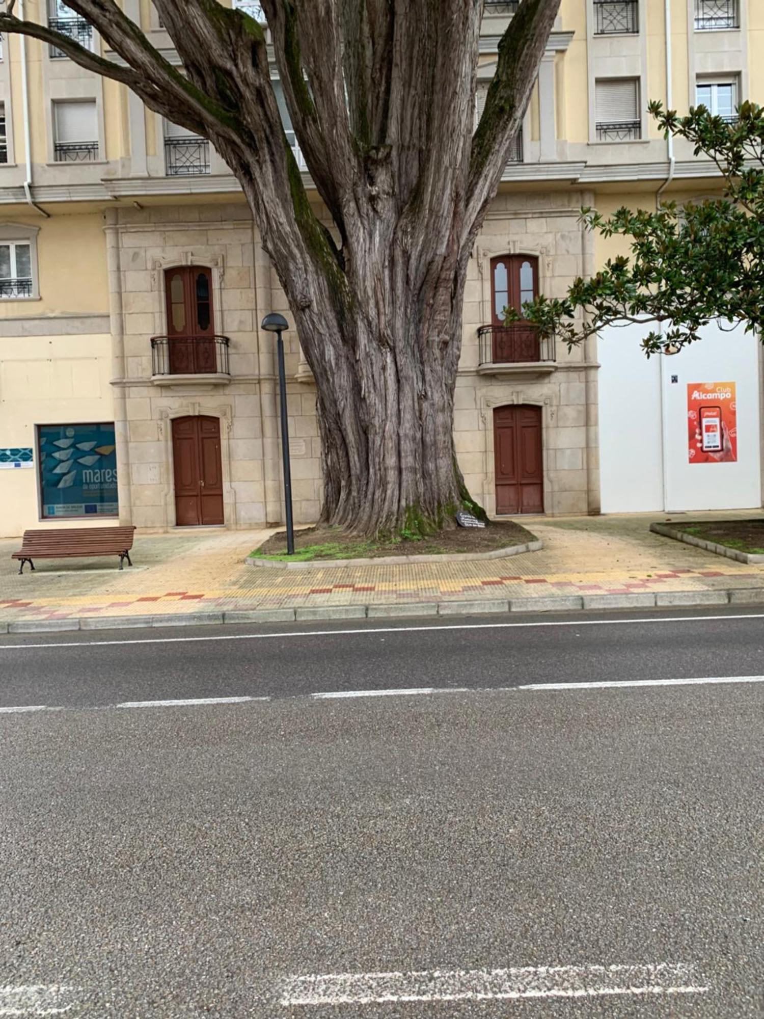 Mansion Del Indiano Apartman Viveiro Kültér fotó